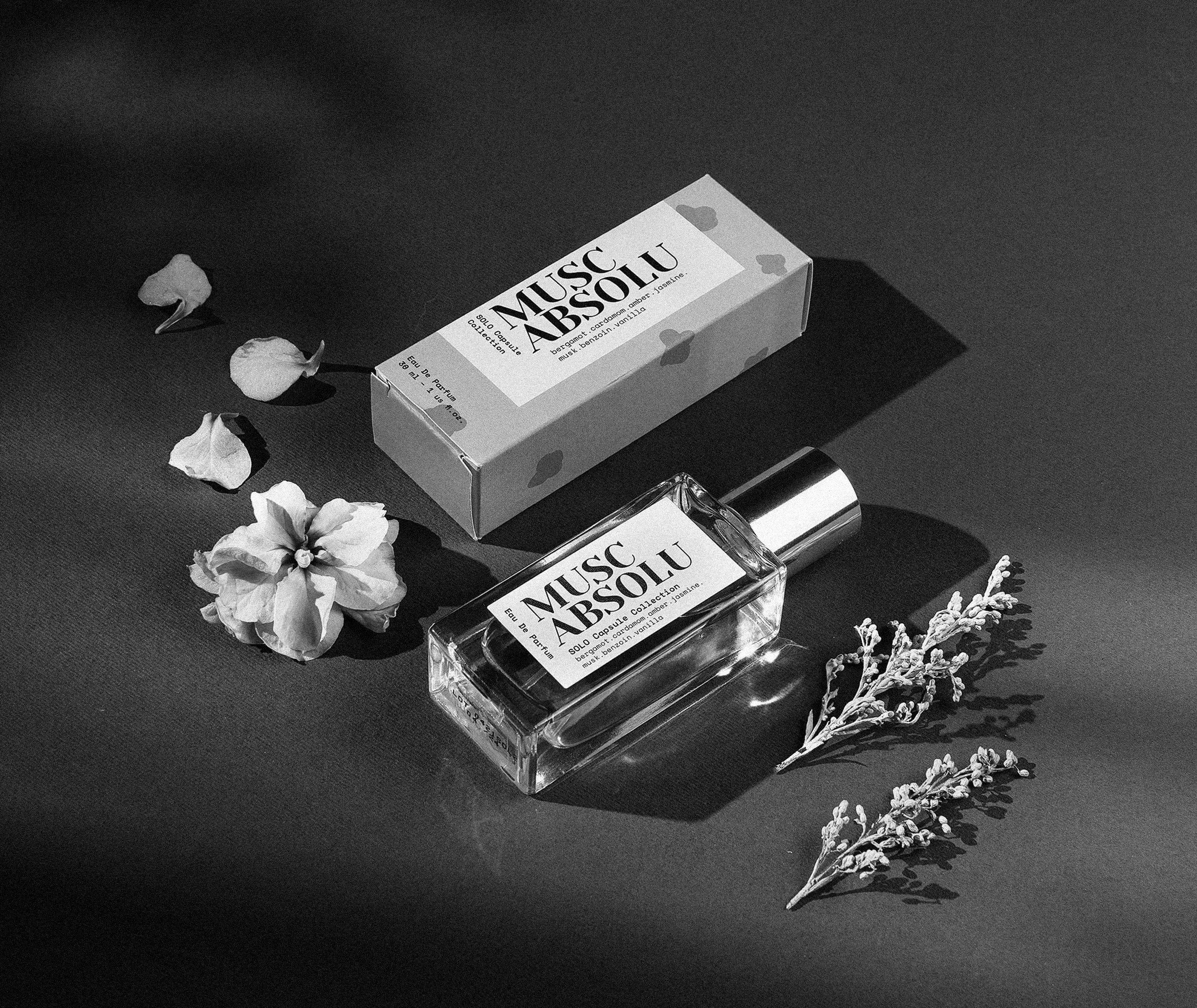 Bog-bw